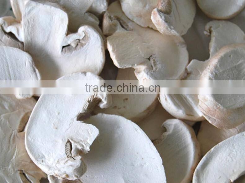 Freeze Dried Mushroom