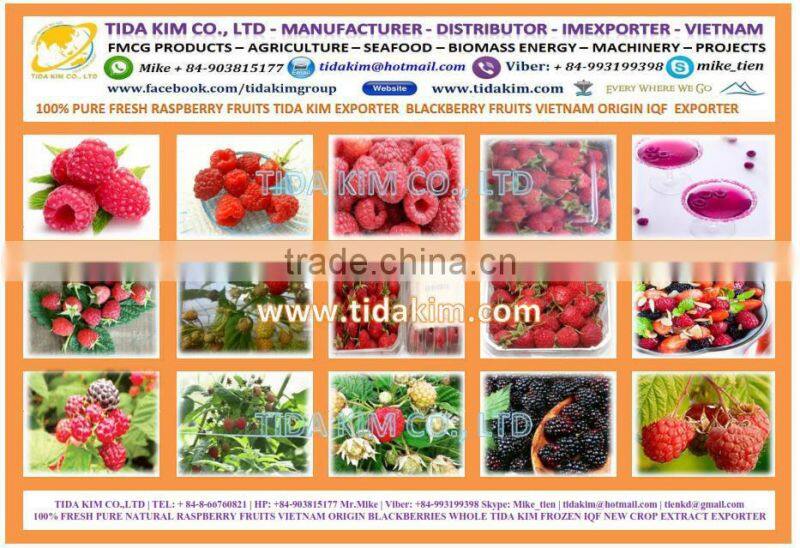 100% ROBUSTA SPRAY FREEZE DRIED INSTANT COFFEE - TIDA KIM VIETNAM INSTANT COFFEE - PREMIUM INSTANT COFFEE - OEM PRODUCTION