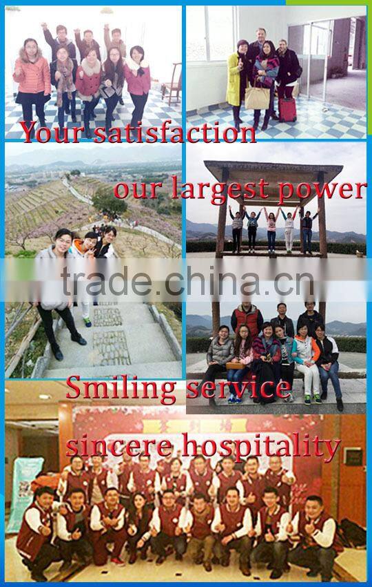 China high quality switch PIR motion sensor