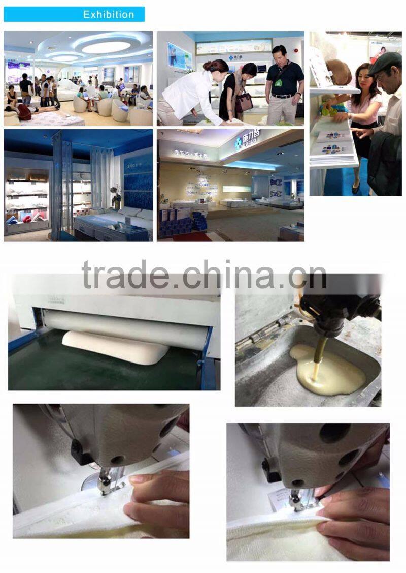 EAS011 Royal-type Butterfly Pillow