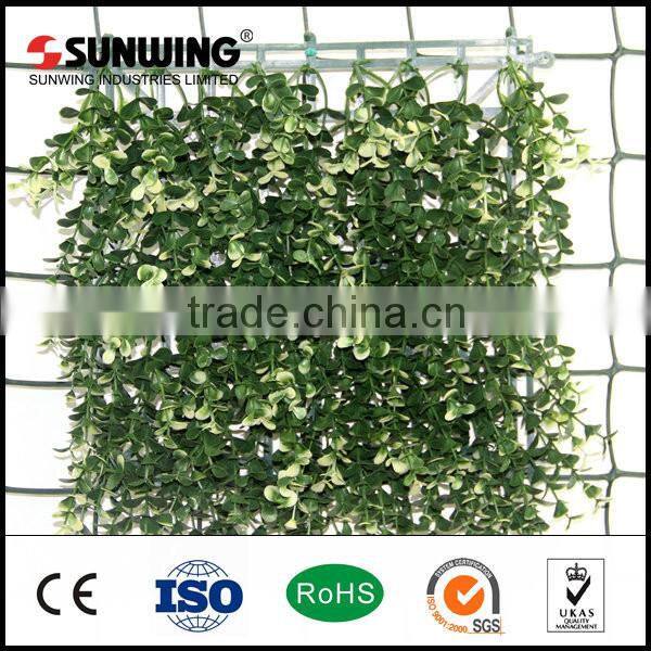 plastic artificial boxwood topiary hedge leaf wall