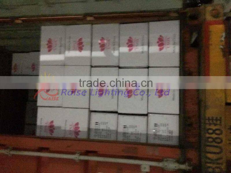 Amber Crystal Chandelier light