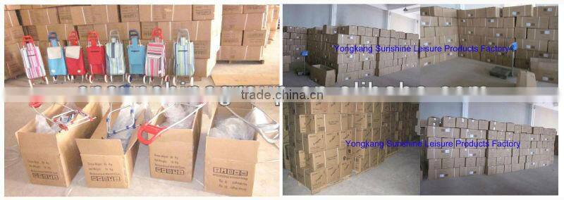 Shopping rolling cart with telescopic handle.