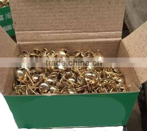 Chair Nail With Good Quality ( SW-055 )