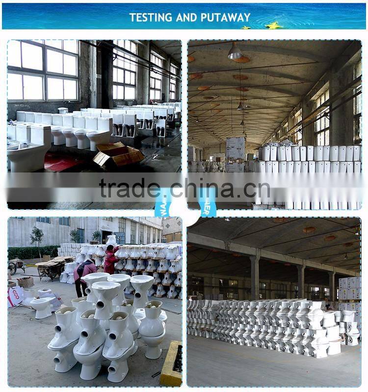 Sanitary Fitting Factory Price Combined Toilet Bidet