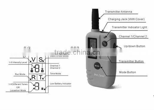 Original !!! Dog Training Video