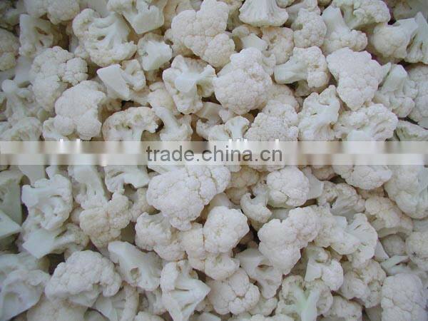 IQF Frozen Cauliflower with good quality for sale