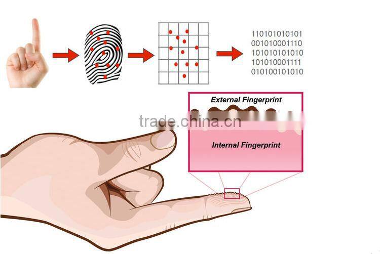 Left Hand Digital Biometric Smart Password Fingerprint Door Lock with Zinc Alloy