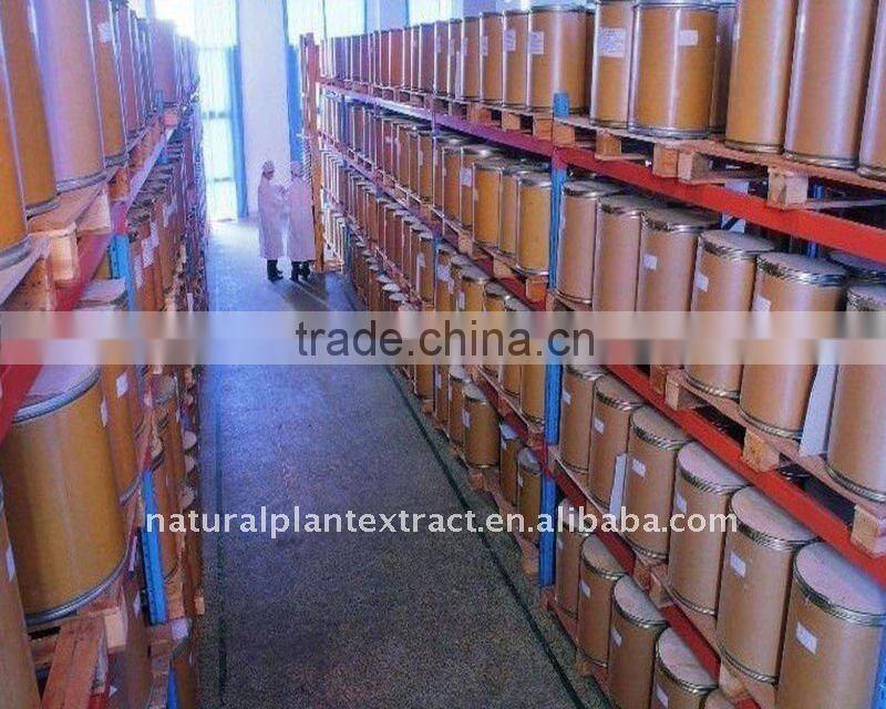 ISO Certified Black Cohosh Plant Extract/Black Cohosh Extract/ Cimicifugoside 2.5%,5%,8%