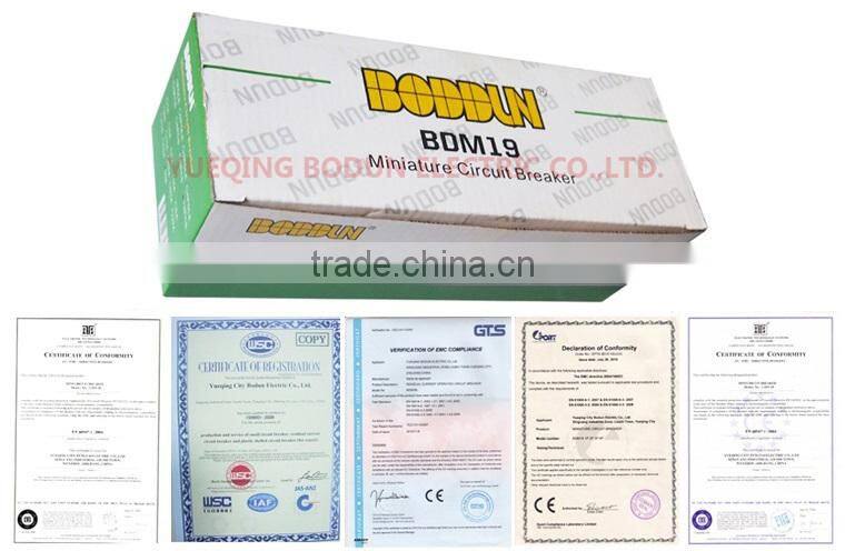 BDM30-63 NEW CIRCUIT BREAKER 2P 10A MCB