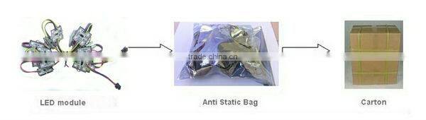 Color Changing rgb led module Light 20pcs per String WS2801 Chip