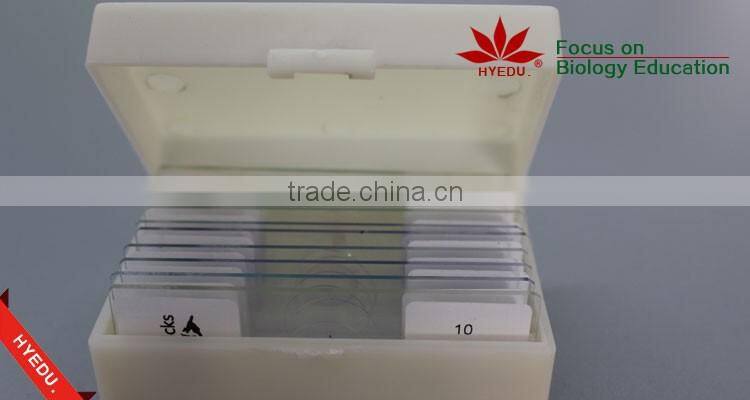 Prepared Slides , Insecta w.m. Slides,Glass Colorful Prepared Slides