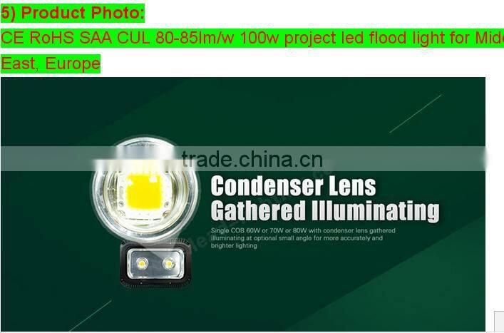 High lumen Bridgelux COB Waterproof IP65 Outdoor 200w led flood light