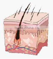 Vertical IPL+ RF hair removal & skin rejuvenation machine MED-130C