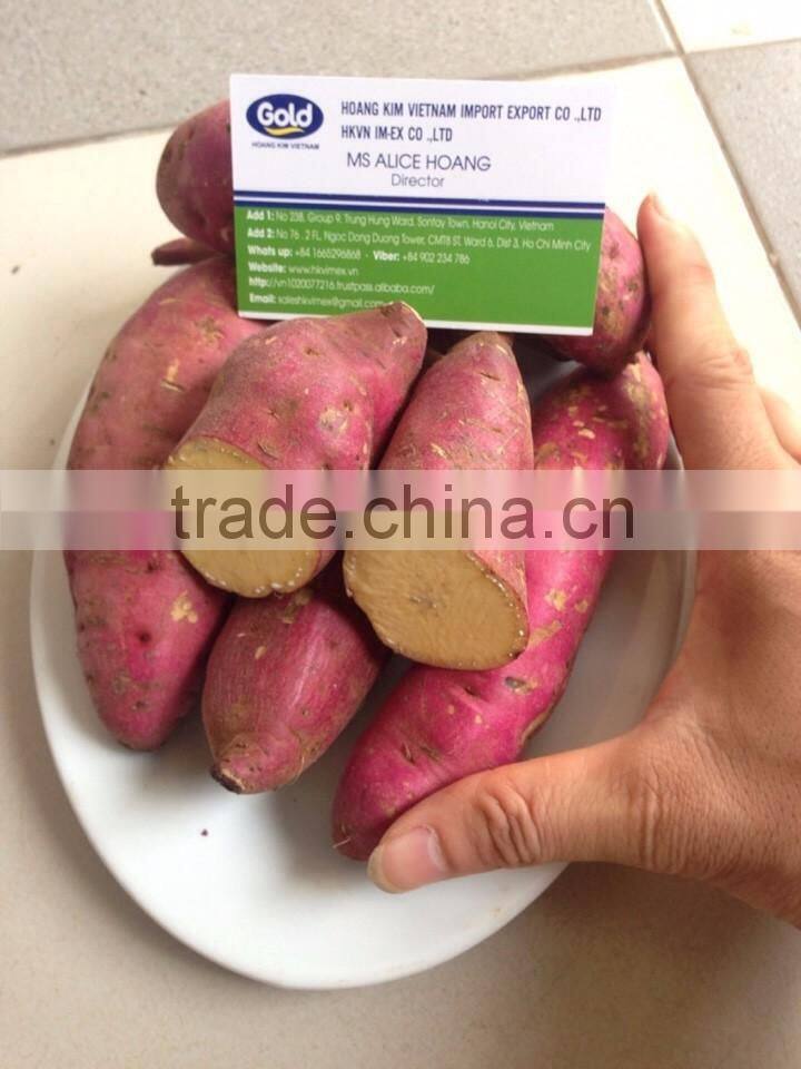 Export fresh sweet potato bulk