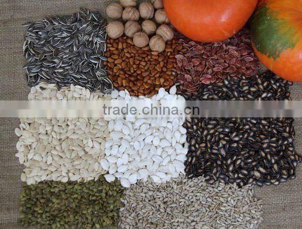 dried shine skin pumpkin seeds in bulk