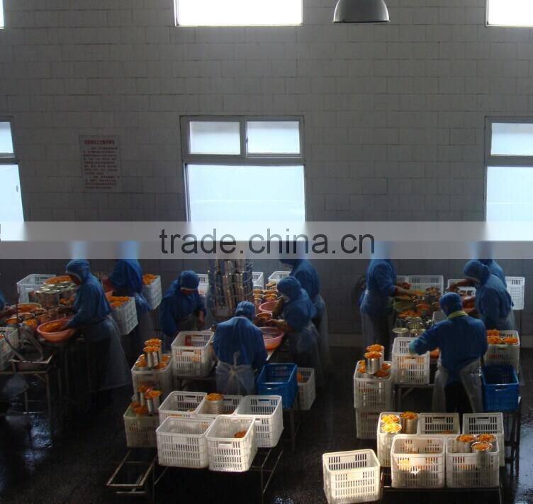 Canned Strawberry E120 E129 E124 in 425ml