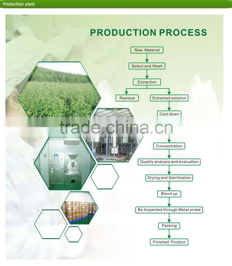 High Quality Black Tea Extract / Pure Black Tea Extract / Black Tea Extract Theaflavins