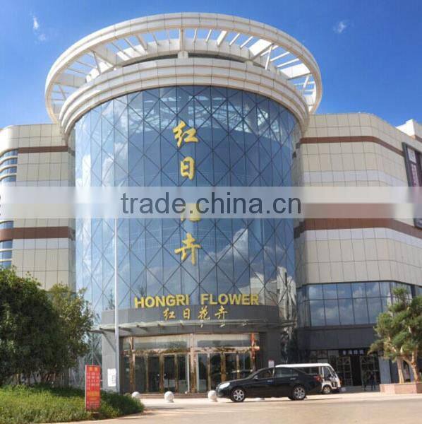 Wholesale cheap fresh cut hydrangea flowers