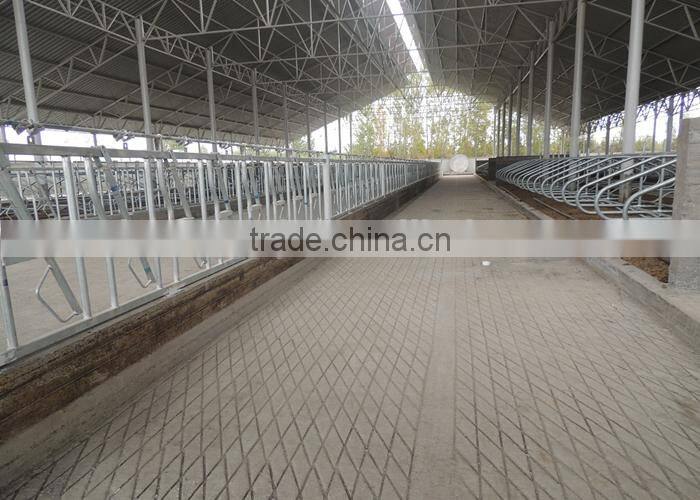 Dairy Cow Farm Equipment Cow Free Stall