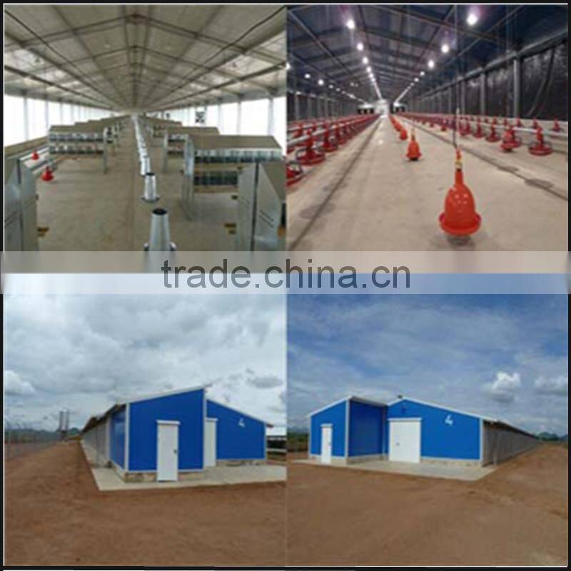 Industrial shed steel structure building design poultry farm shed chicken house for layers