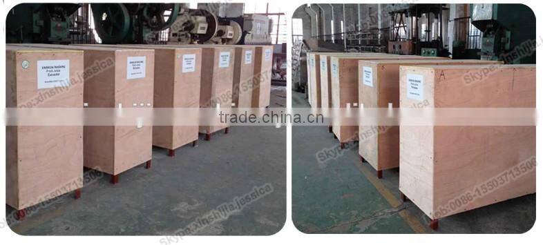 Commercial stainless steel fruit juice extractor