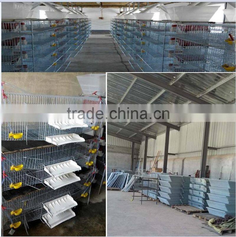 6 layers quail cages /parrot cage /chciken laying cage HJ-QCX400