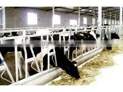 3-13CBM TMR Spreader