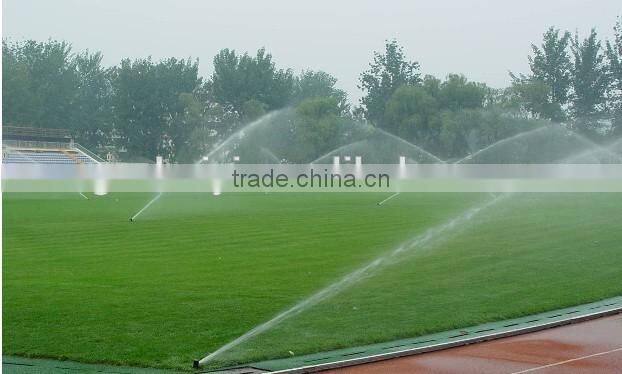 Irrigation system for lawn