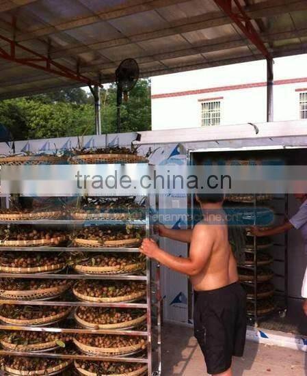 Hot sell red dates dehydrator lemon and mango fruits drying machines