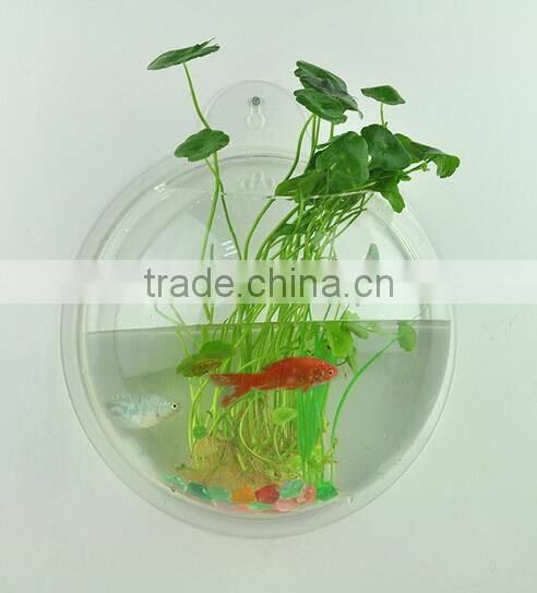 Fishbowl -Clear Glass Vase Fish Tank Ball Bowl+feet/ Succulents Planter Terrarium