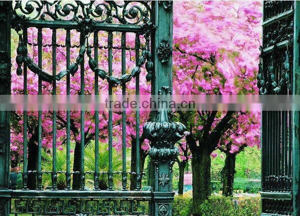european luxury design classic style wrought iron gate (BG90235)