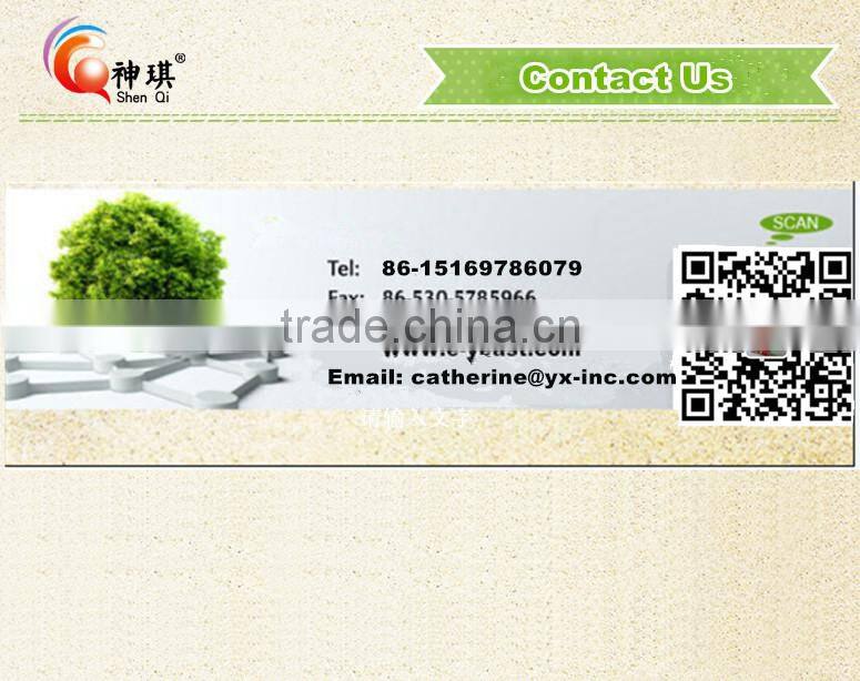 10g beef seasoning cube/powder China supplier