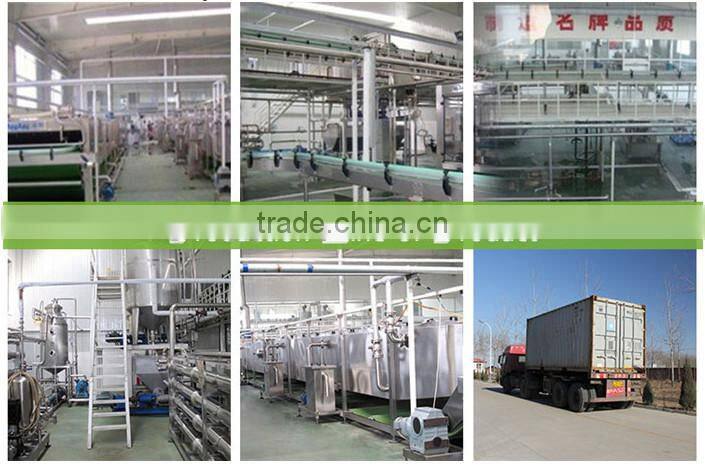 Hot sell good quality tomato ketchup (tomato paste manufacture)