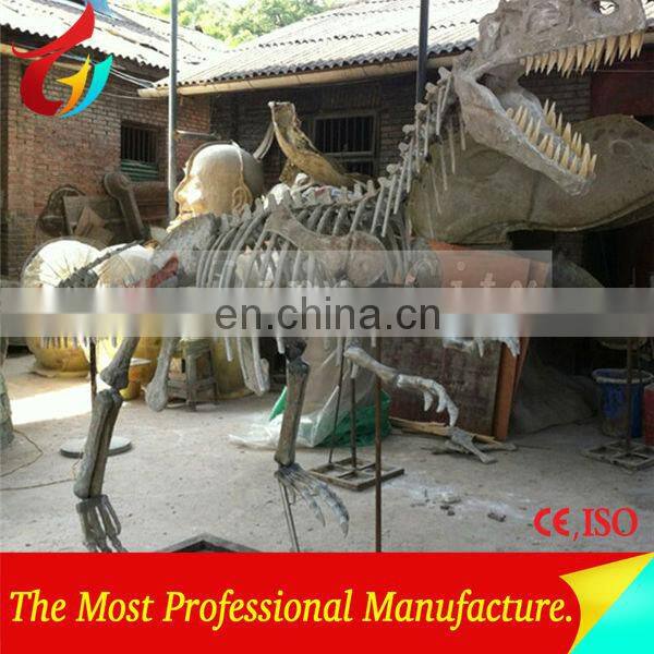High Quantity Animal Skeletons Fossil In Big Discount