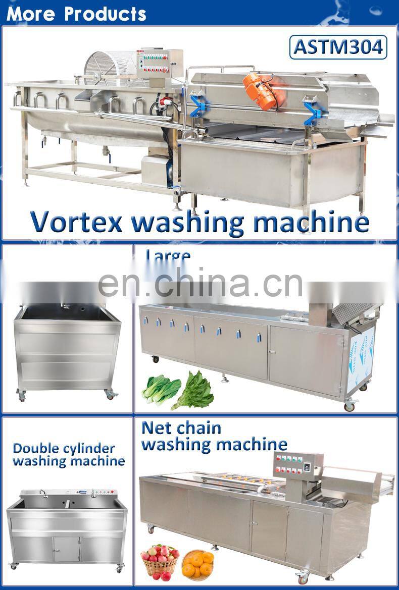 Hot sale Ozone air bubble fruit washing machine lettuce spinach vegetable washer