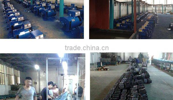 YL Series 1 Phase Dual-Valued Electric Motor