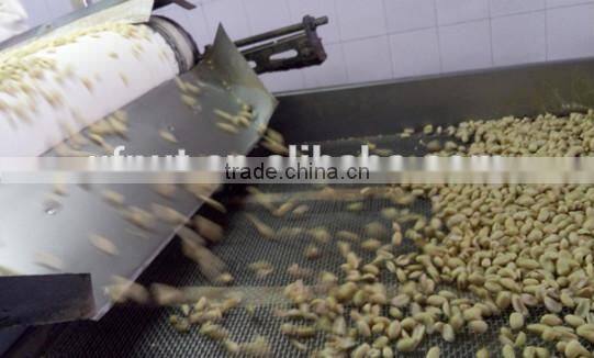 shandong raw peanuts in shell peanuts 1kg price