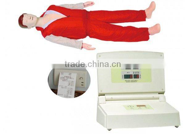 pathology Transparent teeth model