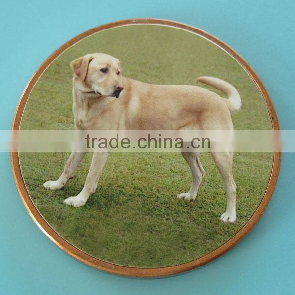 B71 GOLDEN RETRIEVER BAR GEOCOIN