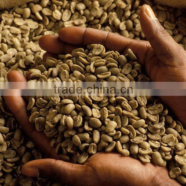 Weight Loss Green Coffee Bean Extract with Chlorogenic Acids