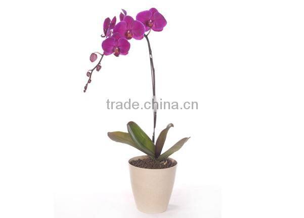 Bamboo Fiber flower pot