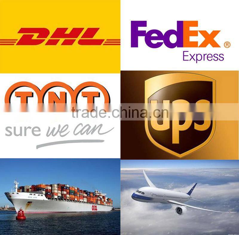 Set of Egg Shaped Easter Bunny Rabbits Snow Globe