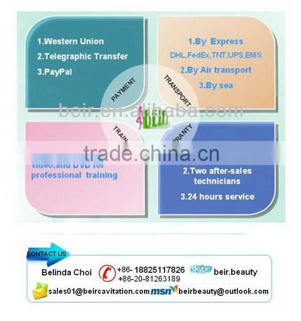 BRG80s High Quality Criolipolisis Loss Machine with 3 Cryo Handles Cryoshape