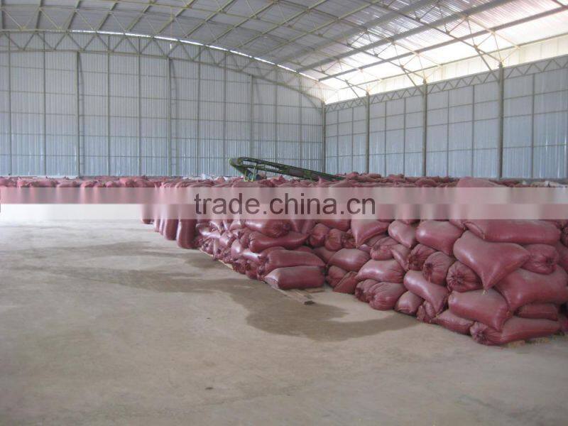 Vietnam Yellow Maize