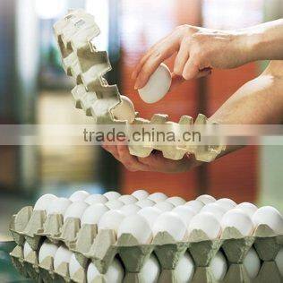 China Paper Egg Tray Making Line