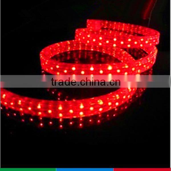 outdoor building projection lighting 110V led flexible hose light