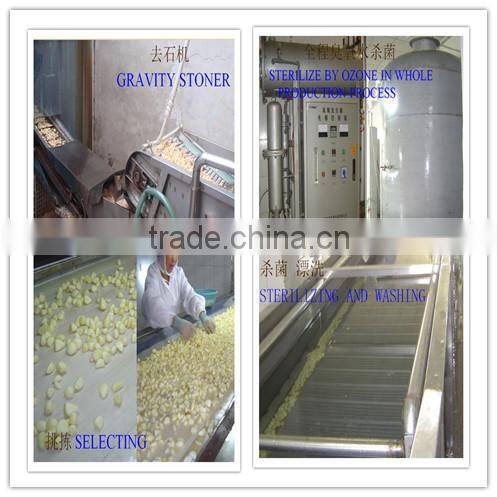 new chinese dehydrated garlic flakes