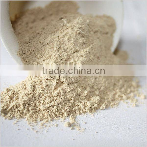 ground rhizoma kaempferiae