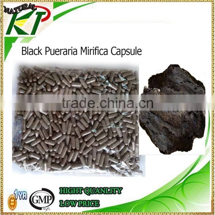 100% natural Black Pueraria Mirifica Extract|male sexual enhacement|herba Extract for Aphrodisiac